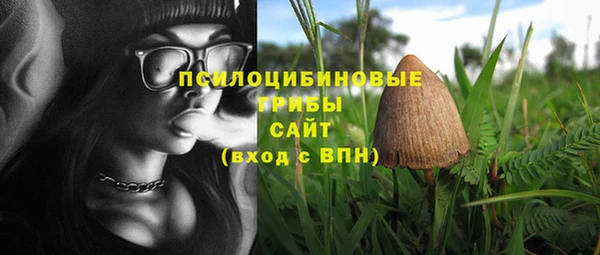марки nbome Алзамай