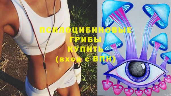 сатива Михайловск