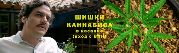 ешки Алексин