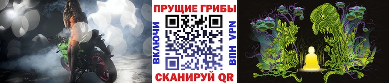кракен маркетплейс  Шлиссельбург  Псилоцибиновые грибы GOLDEN TEACHER 